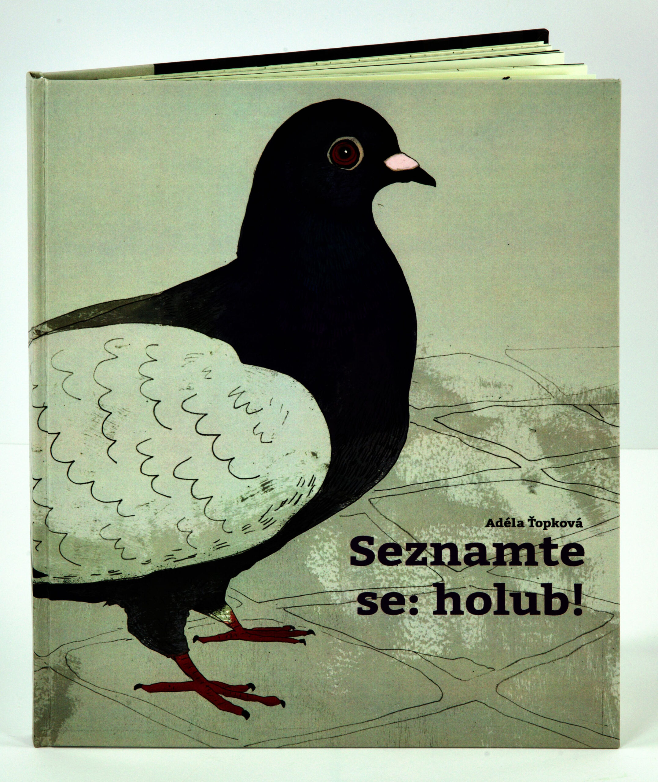 Obrázek díla Seznamte se: holub! od Adéla Ťopková