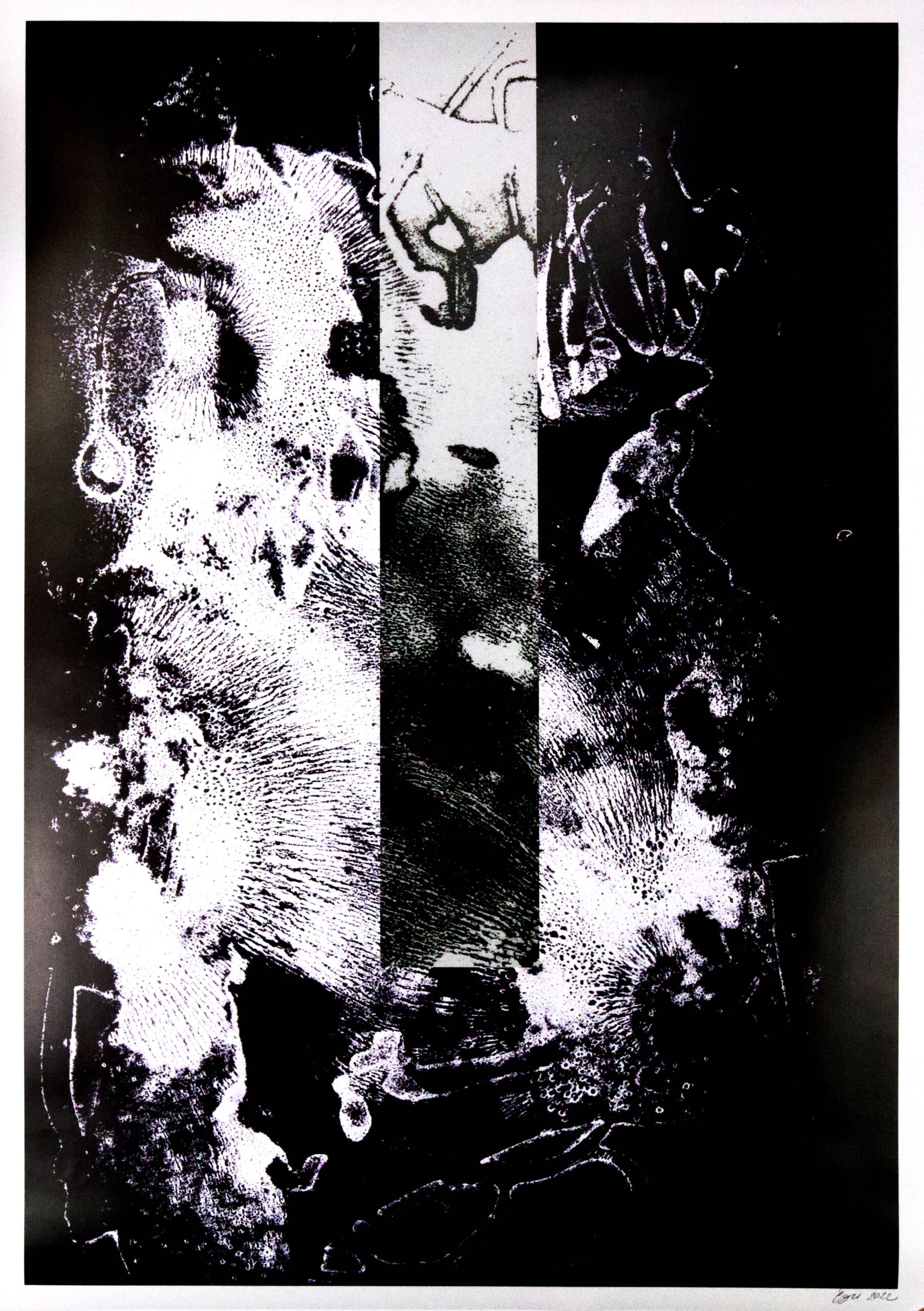 Obrázek díla Velký Rilke od Eva Čapková